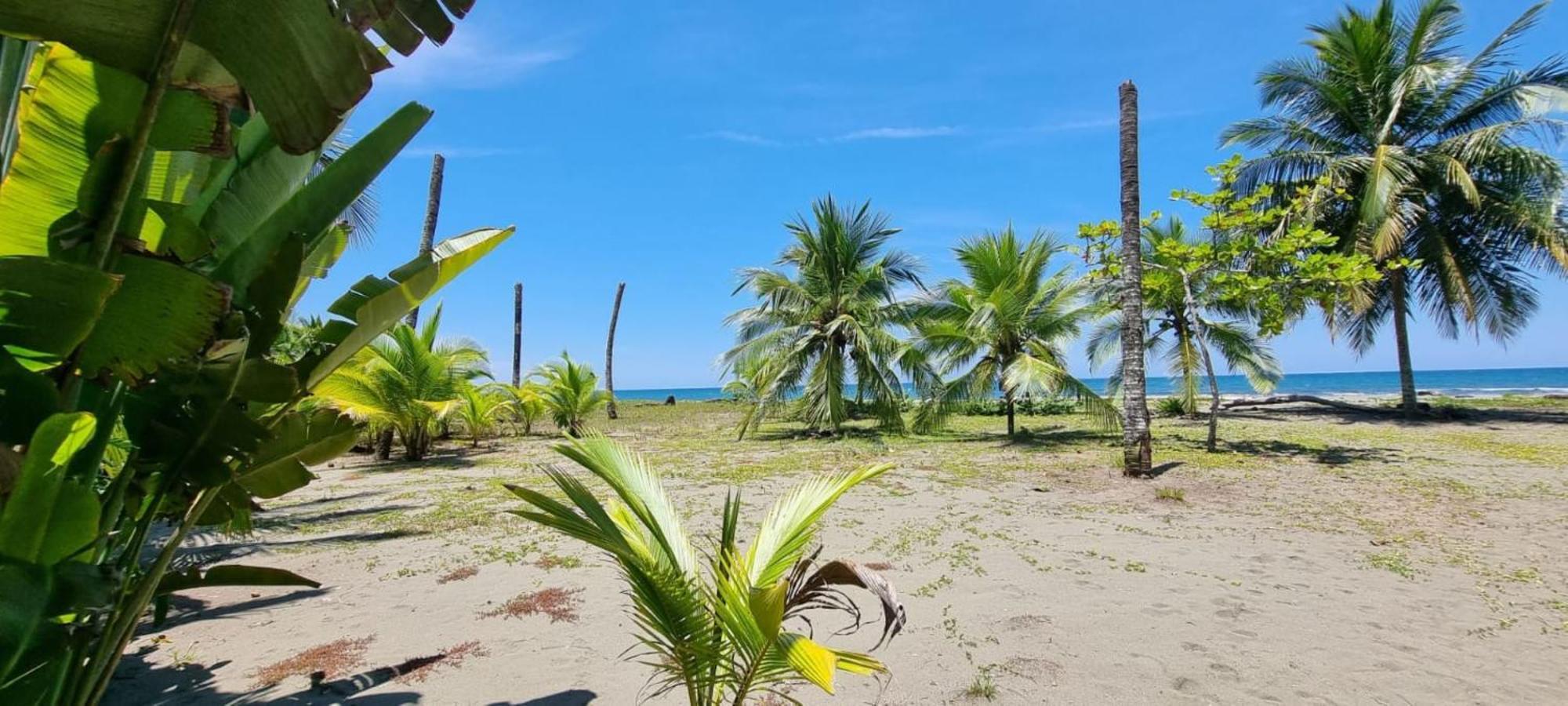 Hotel Playa Westfalia 푸에르토 리몬 외부 사진