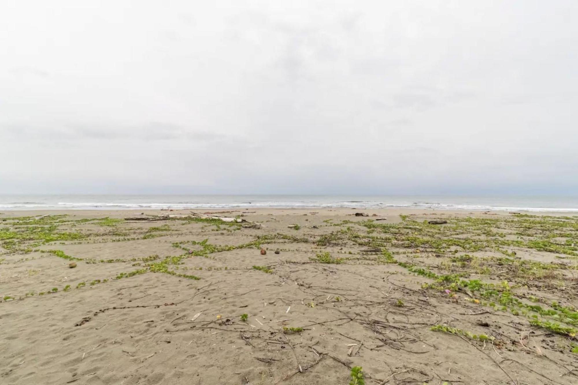 Hotel Playa Westfalia 푸에르토 리몬 외부 사진