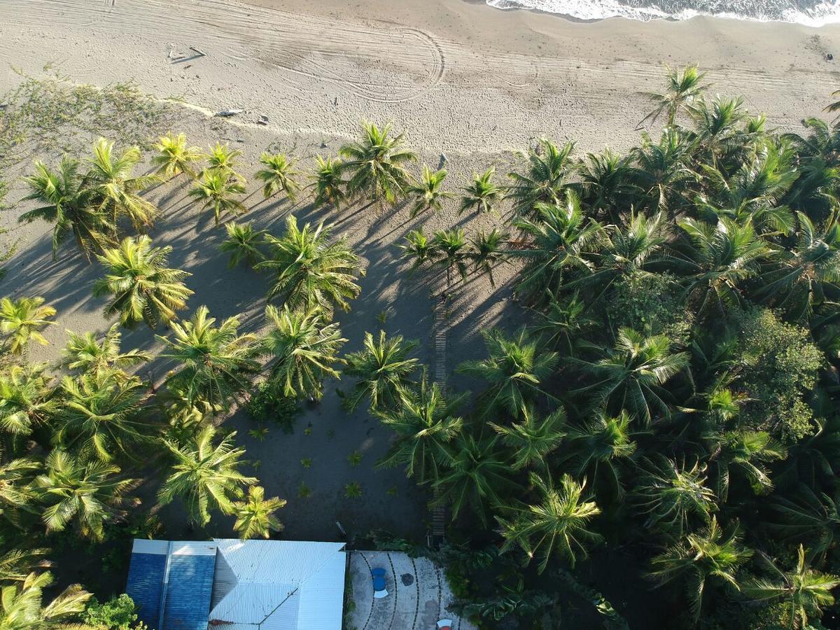 Hotel Playa Westfalia 푸에르토 리몬 외부 사진